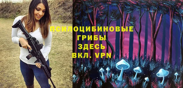 ALPHA PVP Алексин